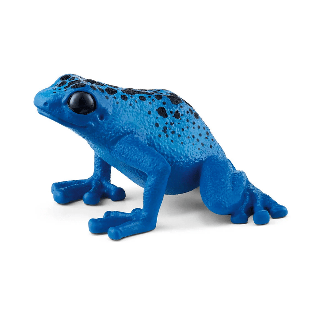 Blue Poison Dart Frog-Schleich USA-Tools 4 Teaching-Classroom Decor and More