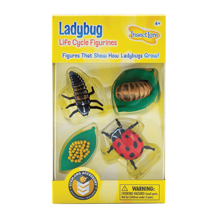 Ladybug Life Cycle Figurines-Science & STEM-Tools 4 Teaching-Classroom Decor and More