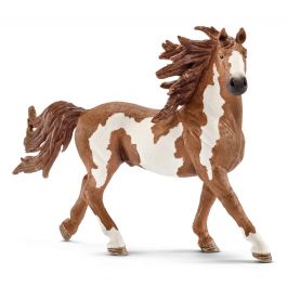 Pinto Stallion-Schleich USA-Tools 4 Teaching-Classroom Decor and More
